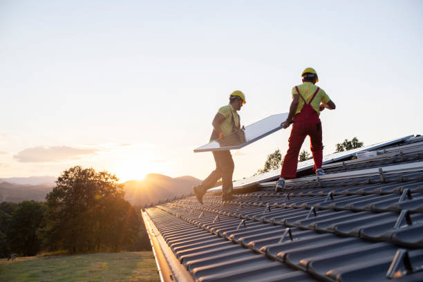 Best Skylight Installation and Repair  in Lone Pine, CA