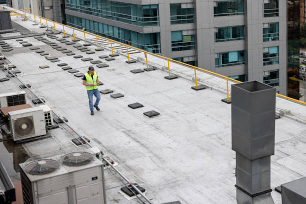 Best Roof Ventilation Installation  in Lone Pine, CA